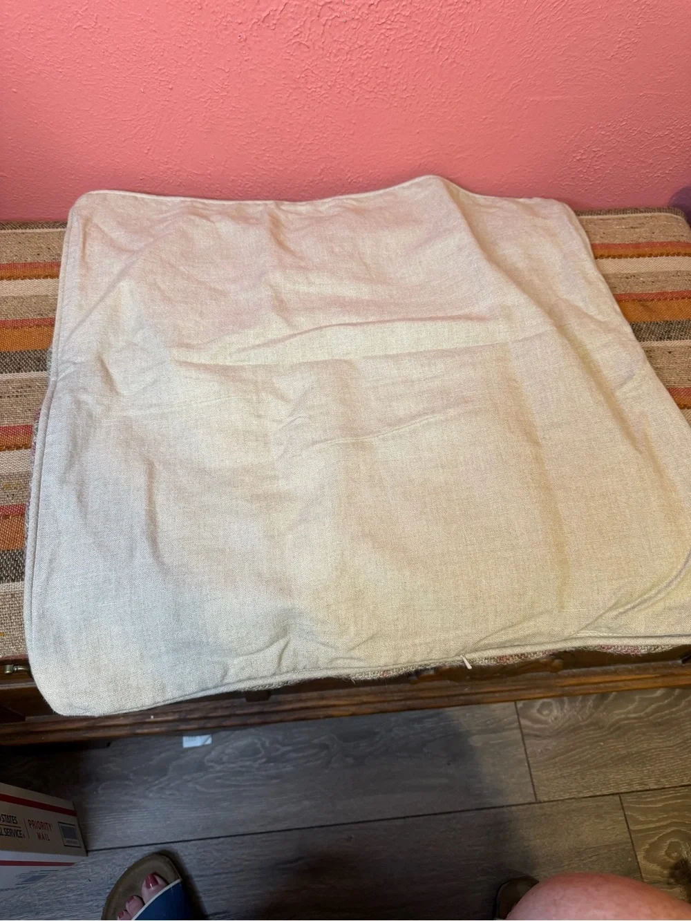 Pottery Barn Paisley Pillow Cover 22”x22”